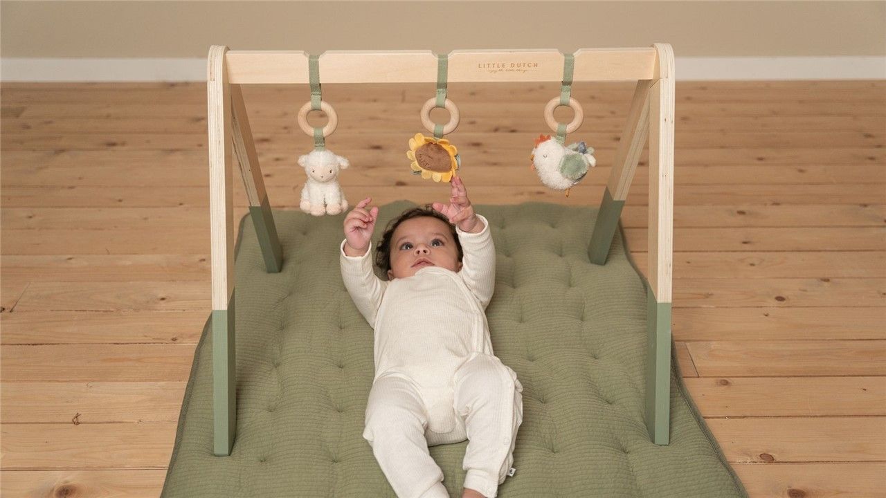 BABYGYM Little Farm - Imagen 3