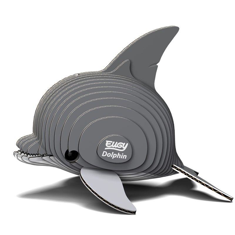 021 - Dolphin - Imagen 2