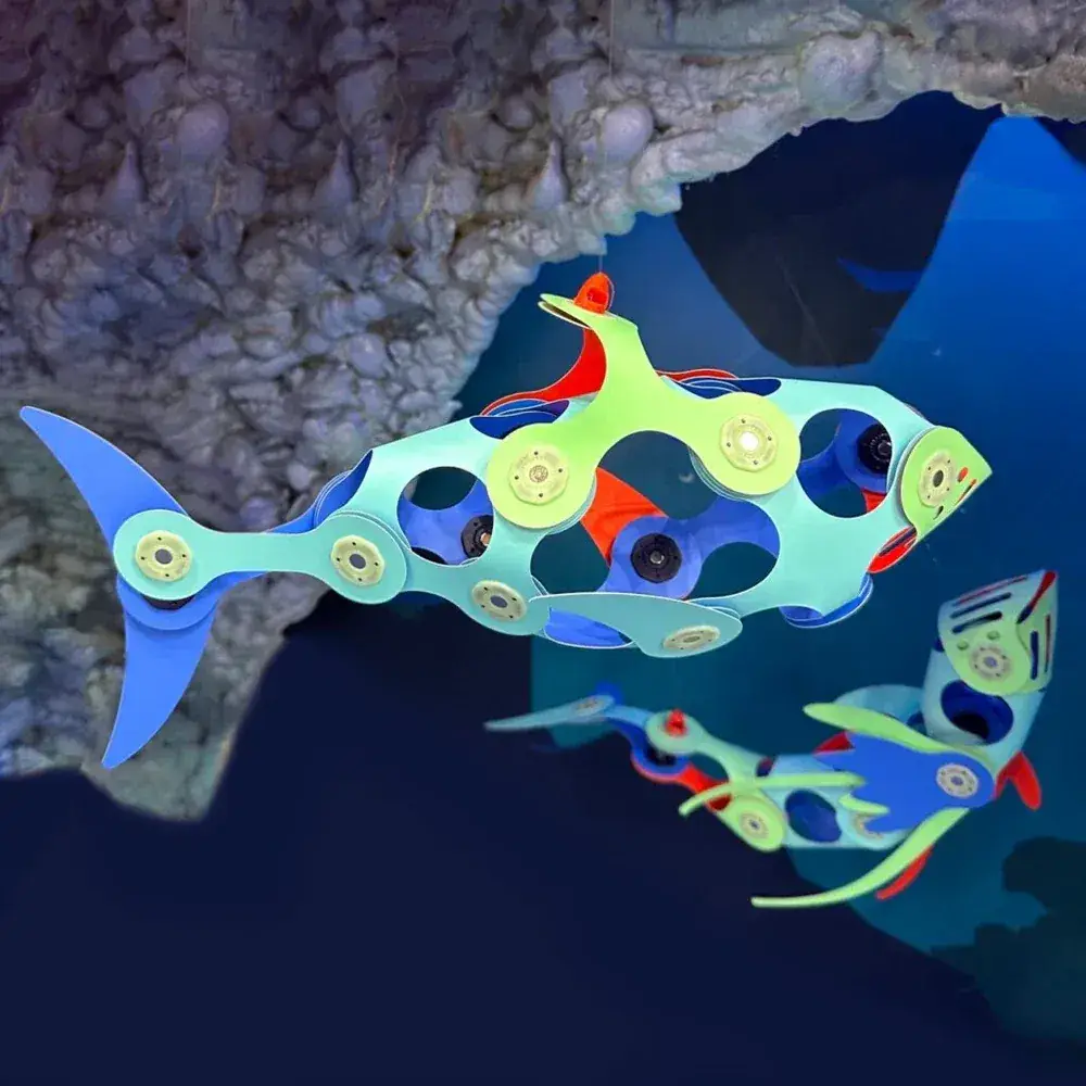 Clixo - Ocean Creatures Pack 24 pzas - Imagen 2