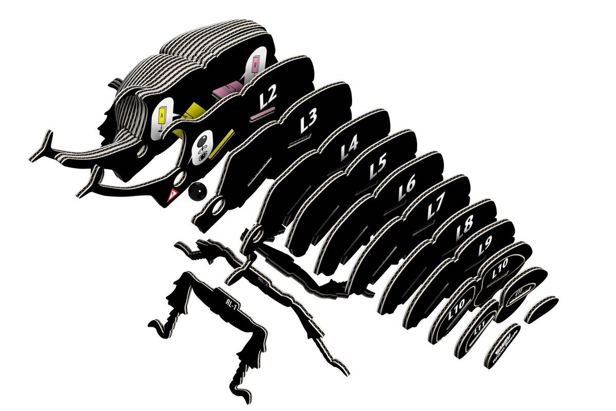 113 - Rhino beetle - Imagen 3