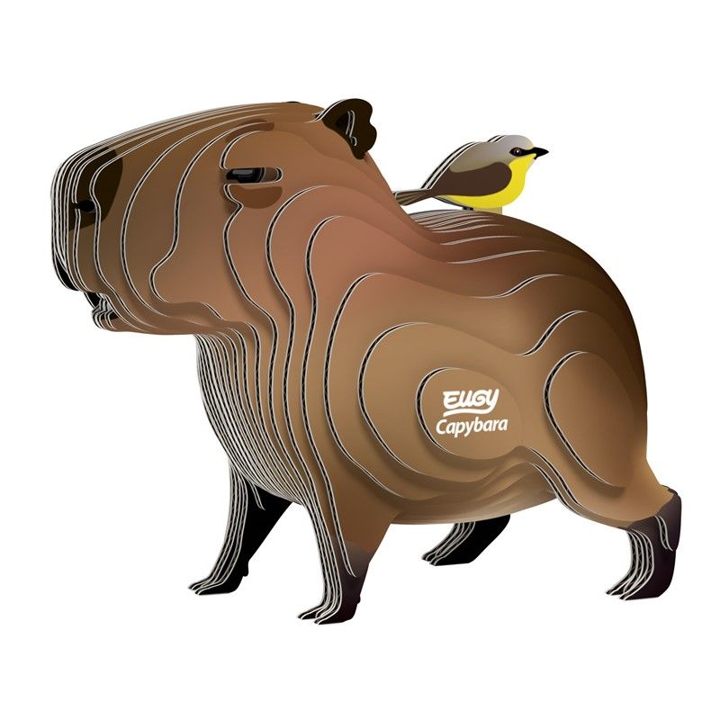 120 - Capybara - Imagen 2